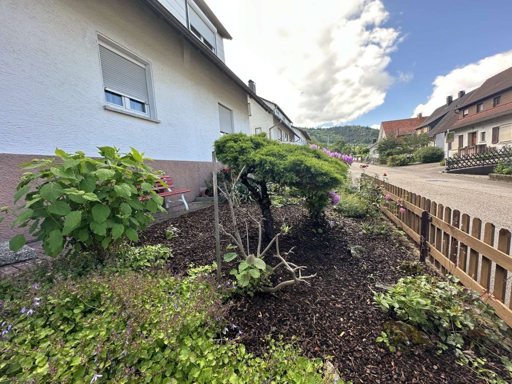 Bepflanzung  vorne II