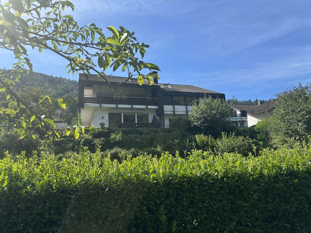 Blick auf Haus von Grünfläche II