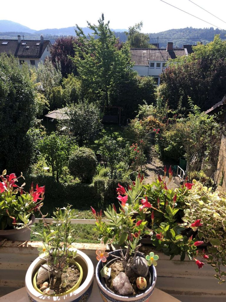 Blick von Balkon 1.OG