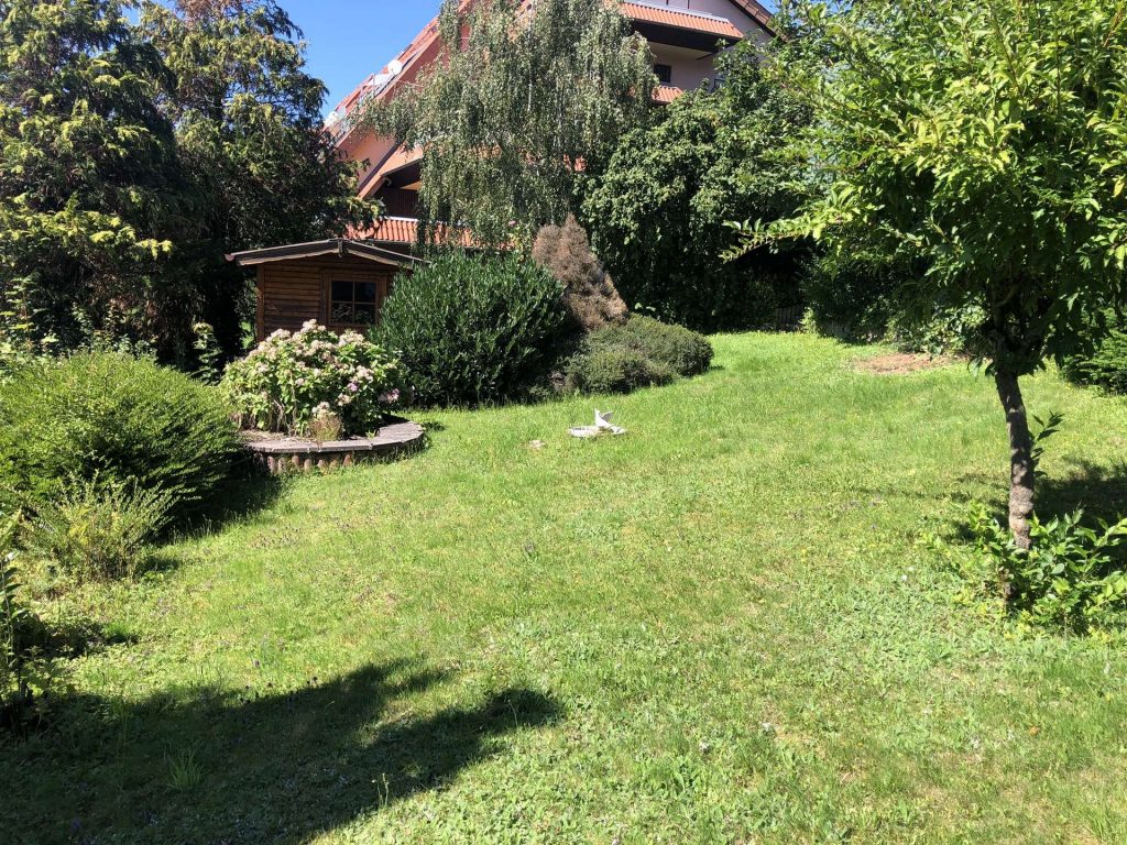 Blick zur Gartenhütte