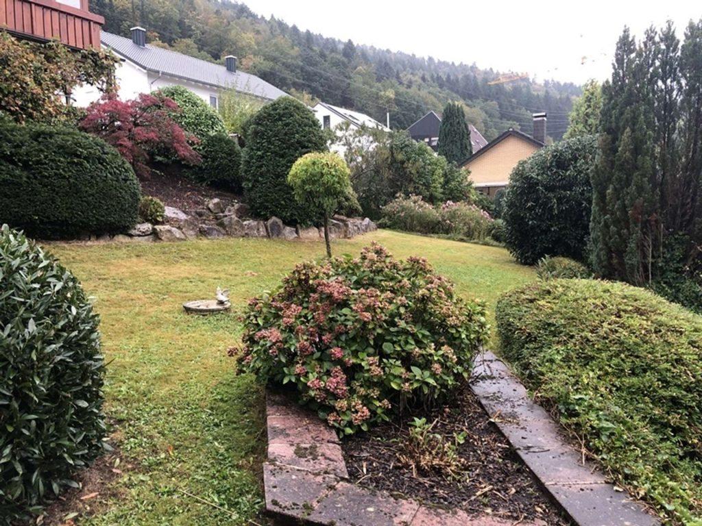 Garten