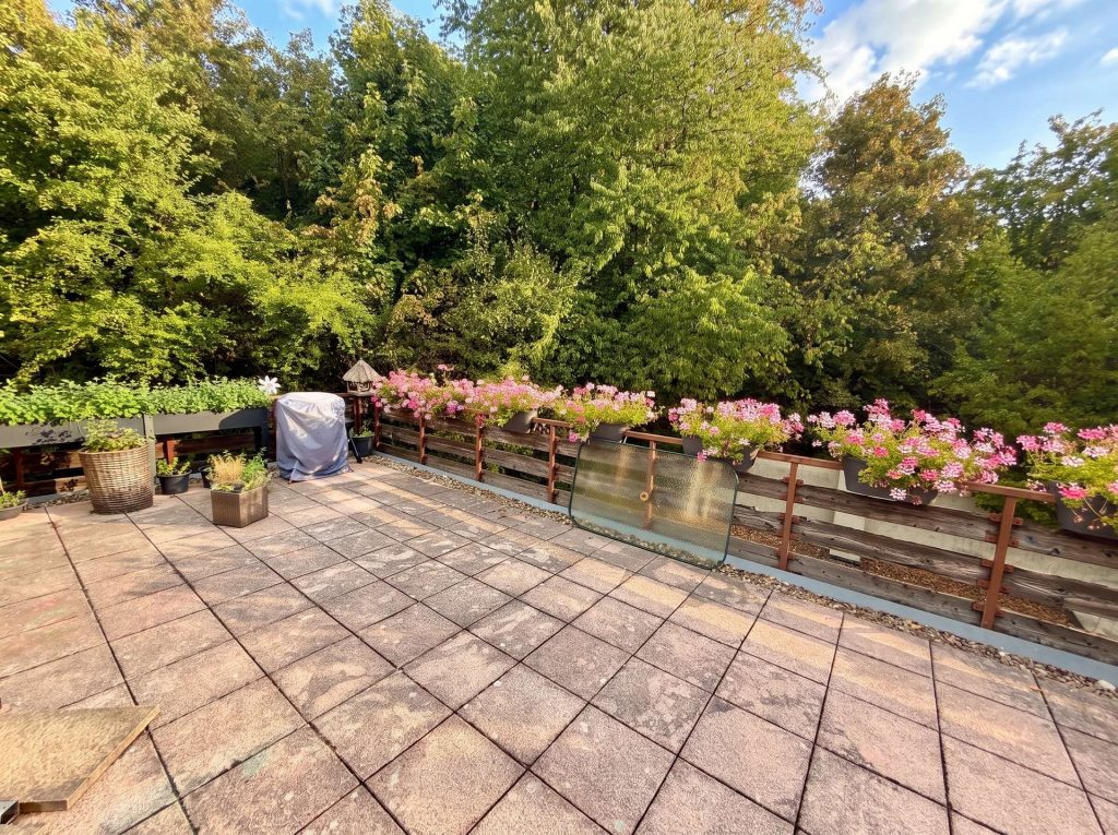 619 DG Dachterrasse neu